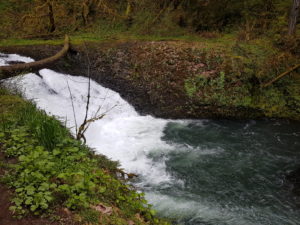 River in Oregon